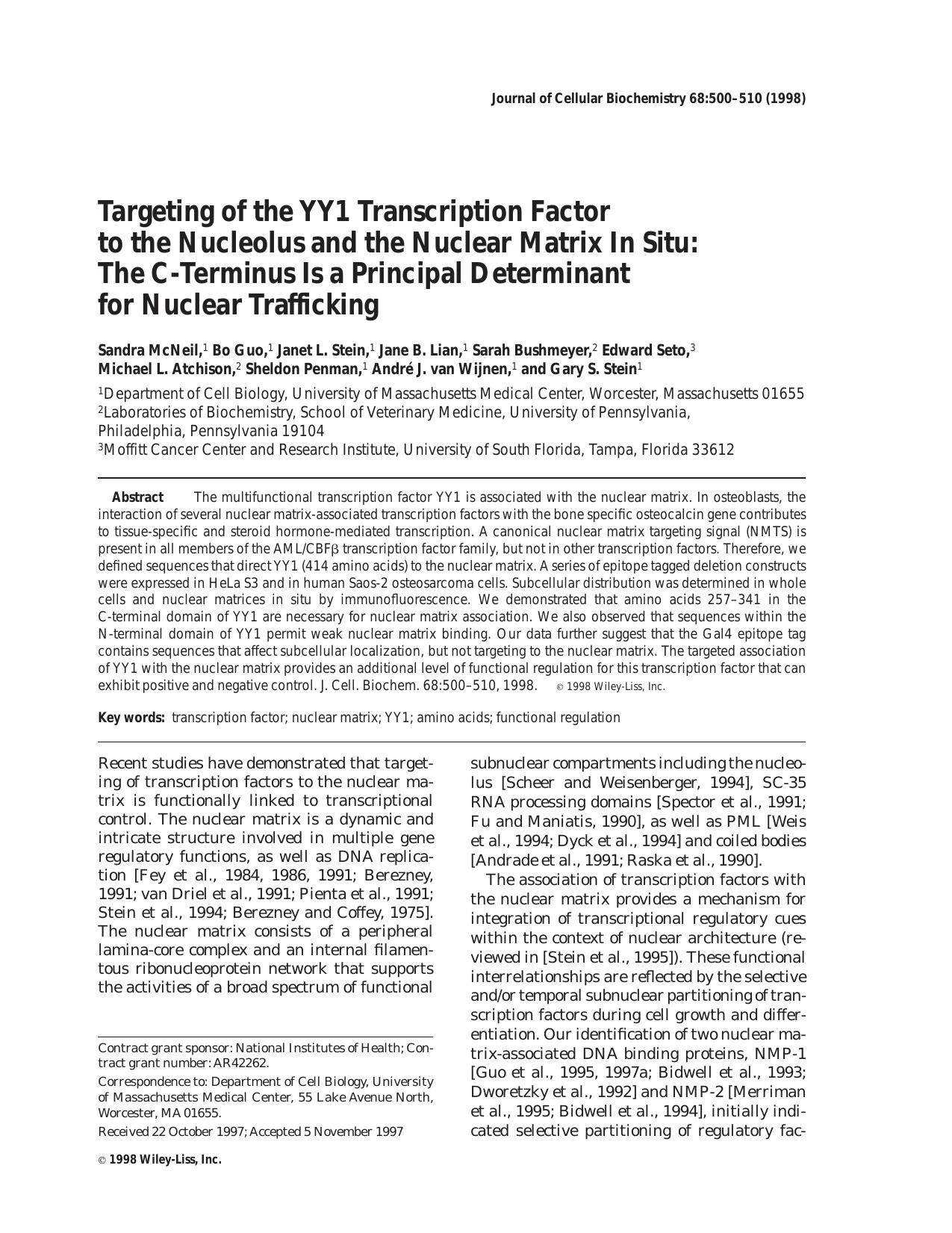 Targeting of the YY1 transcription factor to the nucleolus and the nuclear matrix in situ: The C-terminus is a principal determinant for nuclear trafficking by Unknown