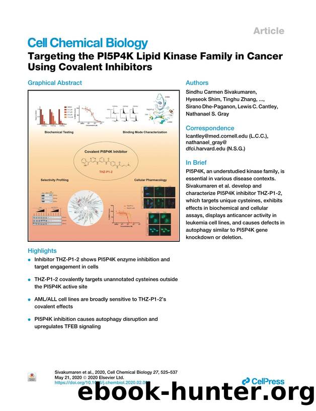 Targeting the PI5P4K Lipid Kinase Family in Cancer Using Covalent Inhibitors by unknow