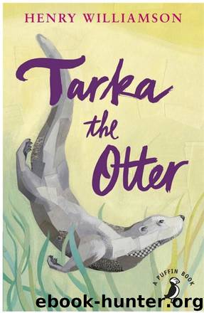 Tarka The Otter by Henry Williamson