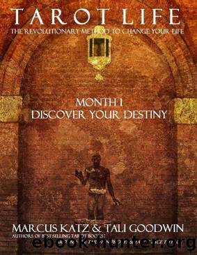 Tarot Life Book 1: Discover Your Destiny by Tali Goodwin & Marcus Katz