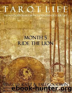Tarot Life Book 5: Ride the Lion by Marcus Katz & Tali Goodwin