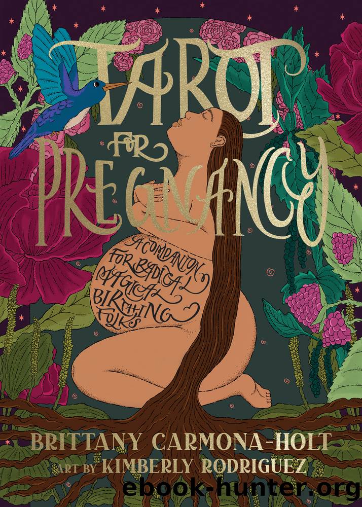 Tarot for Pregnancy: a Companion for Radical Magical Birthing Folks by Brittany Carmona-Holt