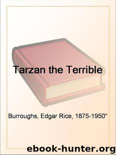 Tarzan the Terrible Edgar Rice Burroughs by Edgar Rice Burroughs