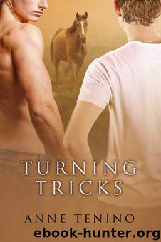 Task Force Iota 2 - Turning Tricks by Anne Tenino