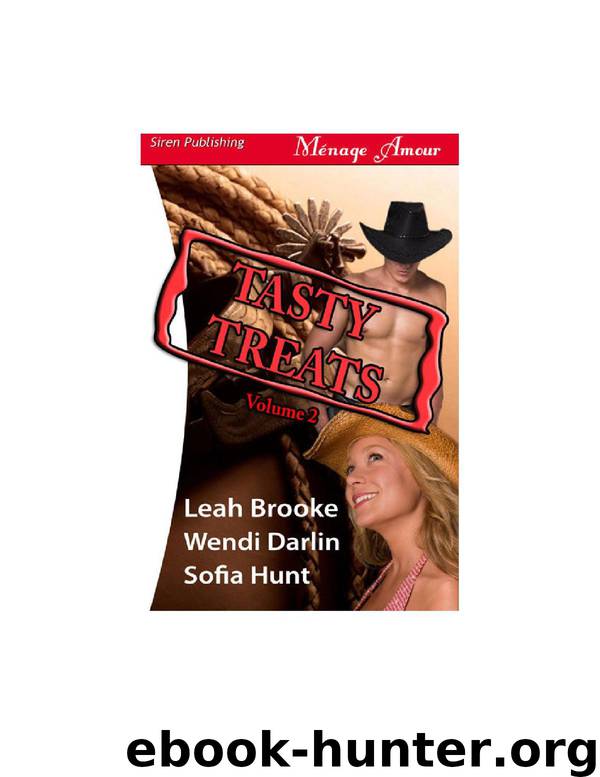 Tasty Treats, Volume 2 by Leah Brooke & Wendi Darlin & Sofia Hunt