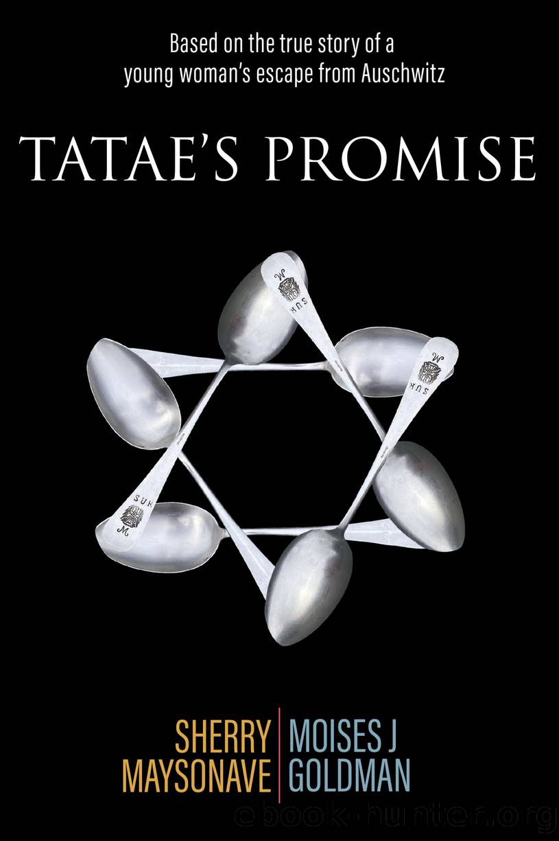 Tatae's Promise by Sherry Maysonave