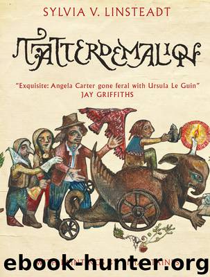 Tatterdemalion by Sylvia V Linsteadt