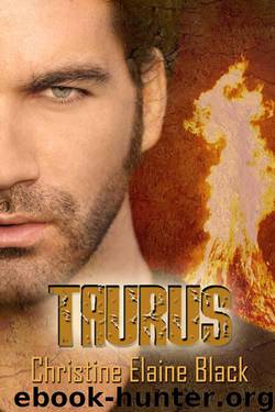 Taurus by Christine Elaine Black