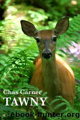 Tawny by Chas Carner