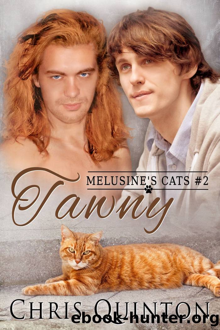 Tawny by Chris Quinton