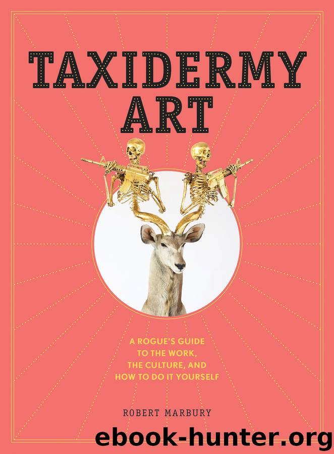 Taxidermy Art by Robert Marbury