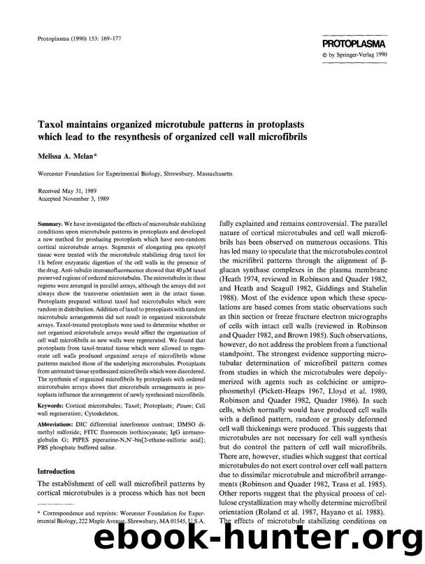 Taxol maintains organized microtubule patterns in protoplasts which lead to the resynthesis of organized cell wall microfibrils by Unknown