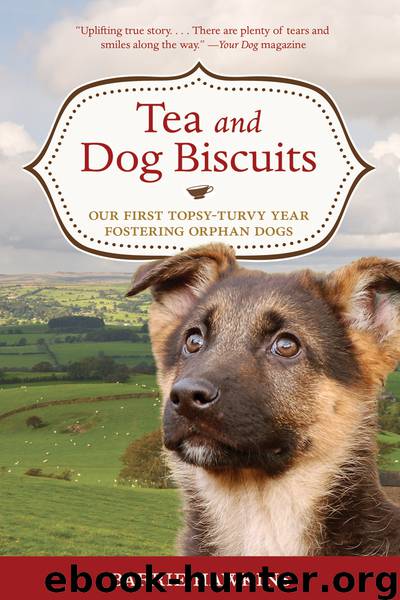 Tea and Dog Biscuits by Hawkins Barrie