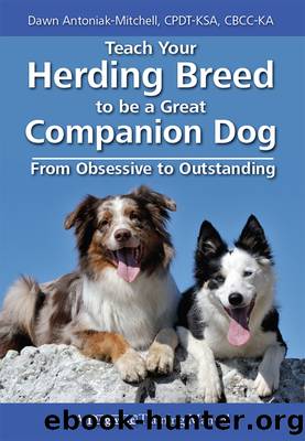 Teach Your Herding Breed To Be a Great Companion Dog by Dawn Antoniak-Mitchell