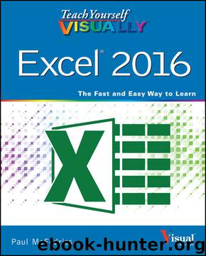 Teach Yourself VISUALLY™ Excel® 2016 by McFedries Paul