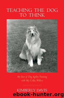 Teaching the Dog to Think: My Year of Dog Agility Training With My Collie, Willow by Kimberly Davis