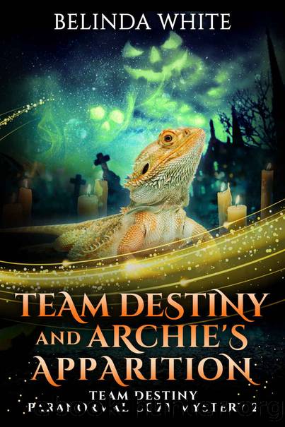 Team Destiny and Archie's Apparition (Team Destiny Paranormal Cozy Mystery Book 2) by Belinda White