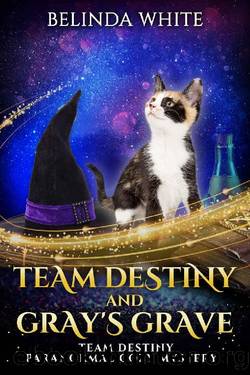 Team Destiny and Gray's Grave (Team Destiny Paranormal Cozy Mystery Book 1) by Belinda White