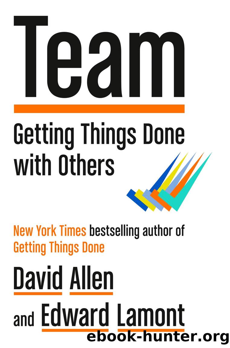 Team by David Allen & Edward Lamont