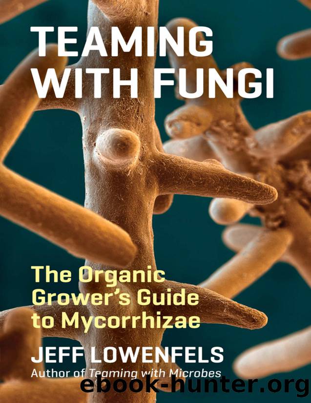 Teaming with Fungi by Lowenfels Jeff;