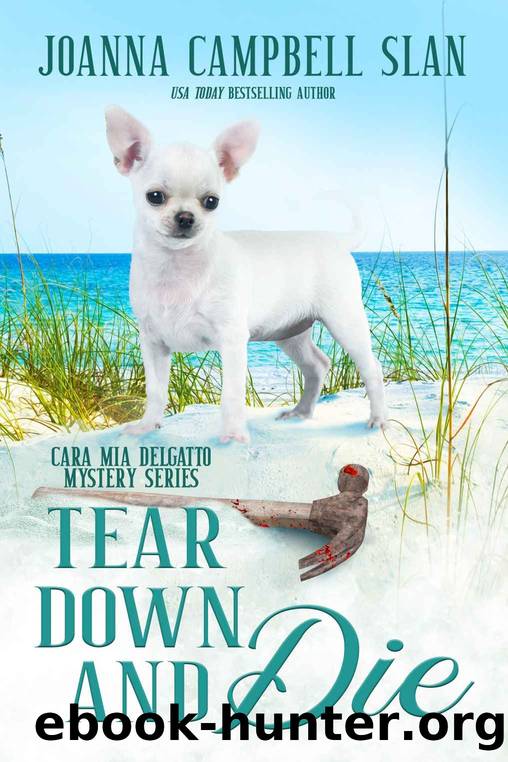 Tear Down and Die by Joanna Campbell Slan