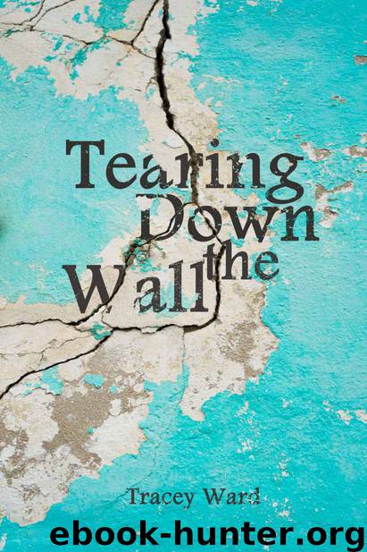 Tearing Down the Wall (Survival Series #3) by Tracey Ward
