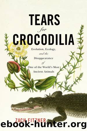 Tears for Crocodilia by Fitzner Zach;
