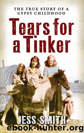 Tears for a Tinker by Jess Smith