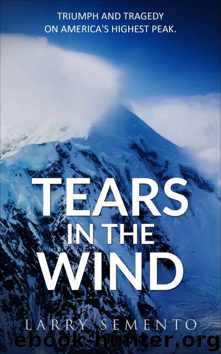 Tears in the Wind by Larry Semento