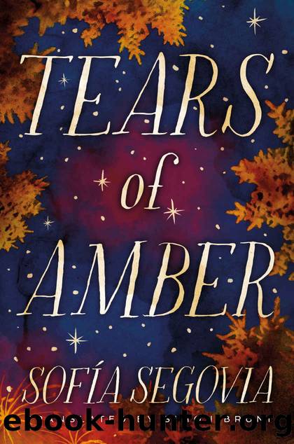 Tears of Amber by Sofía Segovia