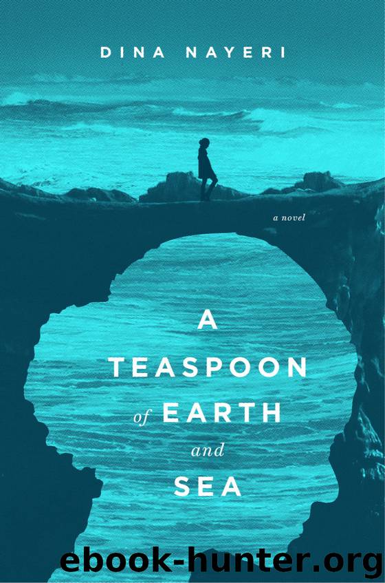 Teaspoon of Earth and Sea (9781101601990) by Nayeri Dina