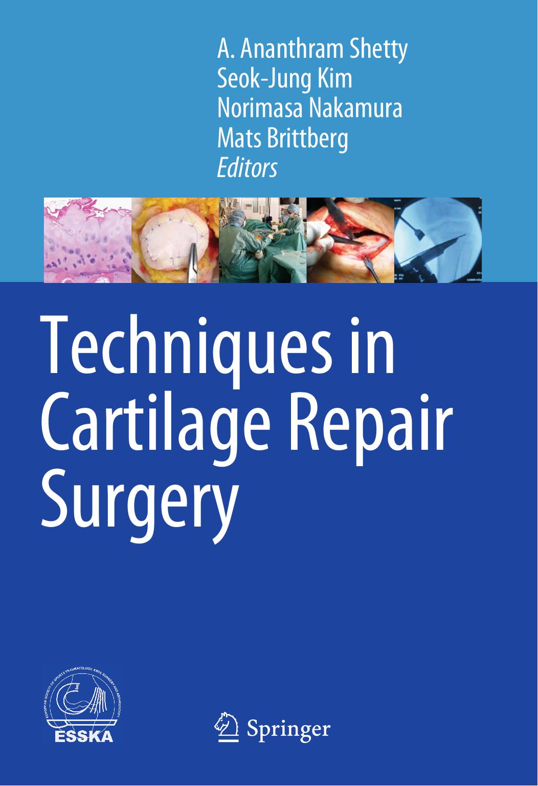 Techniques in Cartilage Repair Surgery by A. Ananthram Shetty Seok-Jung Kim Norimasa Nakamura Mats Brittberg (eds.)
