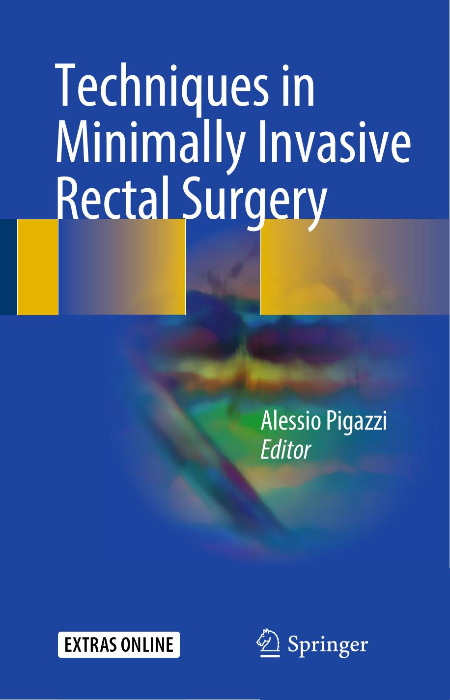 Techniques in Minimally Invasive Rectal Surgery by Alessio Pigazzi (eds.)