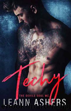 Techy (Devil Souls MC Book 2) by LeAnn Ashers