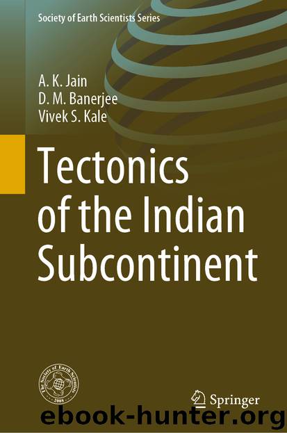 Tectonics of the Indian Subcontinent by A. K. Jain & D. M. Banerjee & Vivek S. Kale