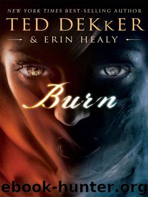 Ted Dekker by Burn