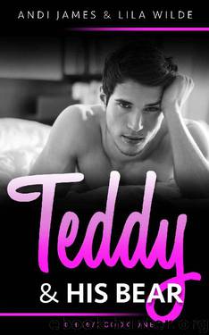 Teddy & His Bear: Oh My! Book One by James Andi & Wilde Lila