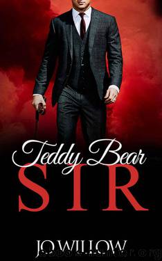 Teddy Bear Sir (The Sloan Brothers Book 3) by Willow Jo