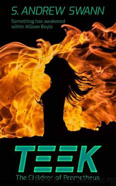 Teek by S Andrew Swann