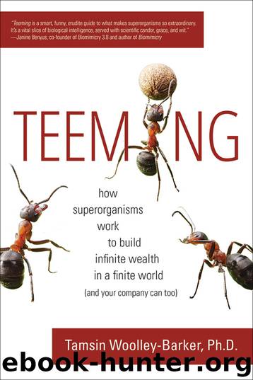 Teeming by Tamsin Woolley-Barker