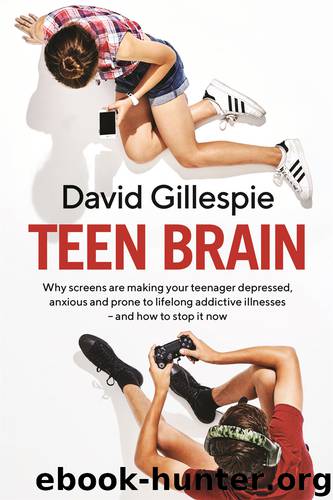 Teen Brain by David Gillespie
