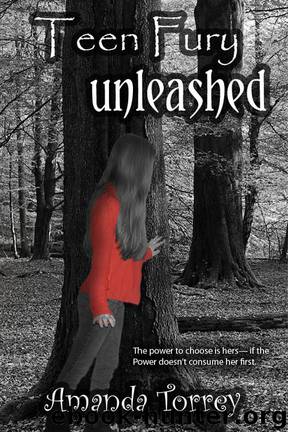 Teen Fury Unleashed by Amanda Torrey