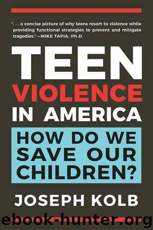 Teen Violence in America by Joseph Kolb