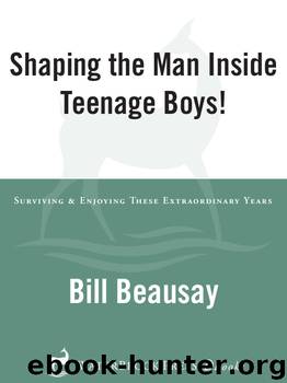 Teenage Boys by Bill Beausay