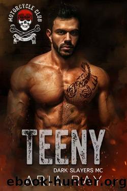 Teeny (Dark Slayers MC Book 7) by Aria Ray