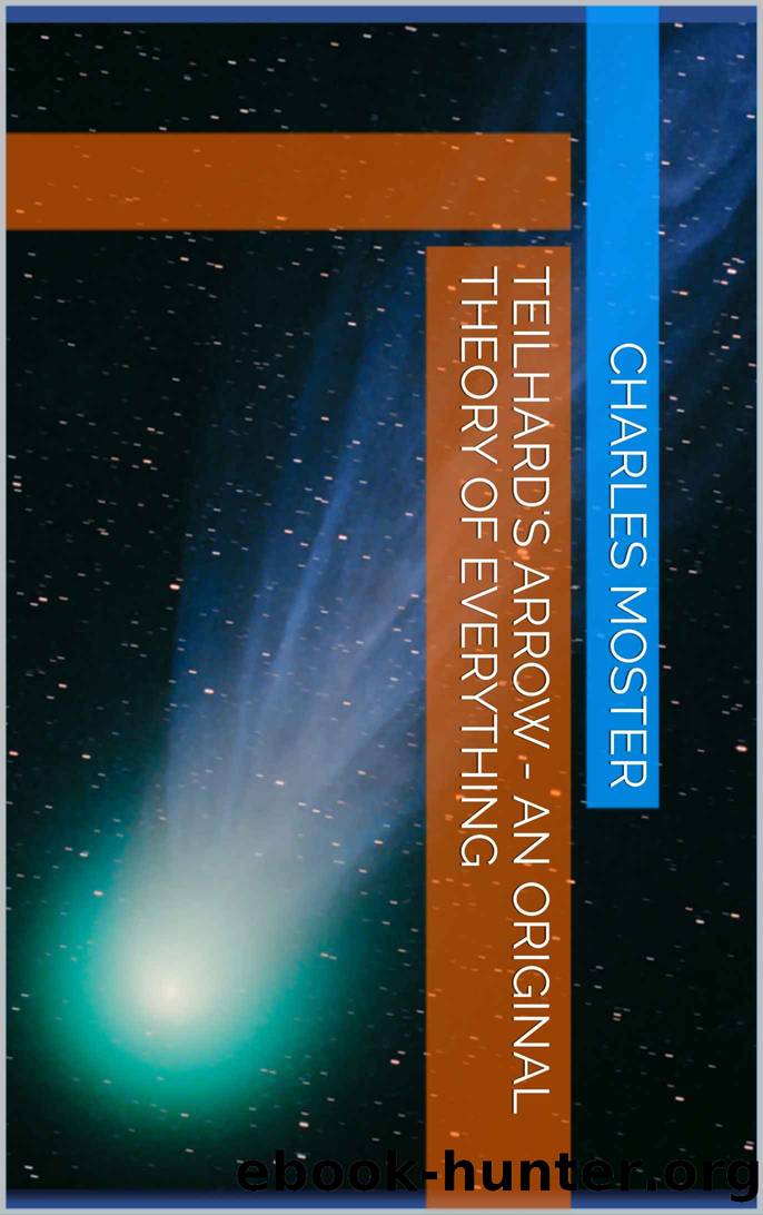 Teilhard's Arrow - An Original Theory of Everything by Charles Moster & Charles Moster