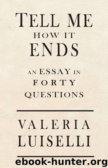 Tell Me How It Ends by Valeria Luiselli
