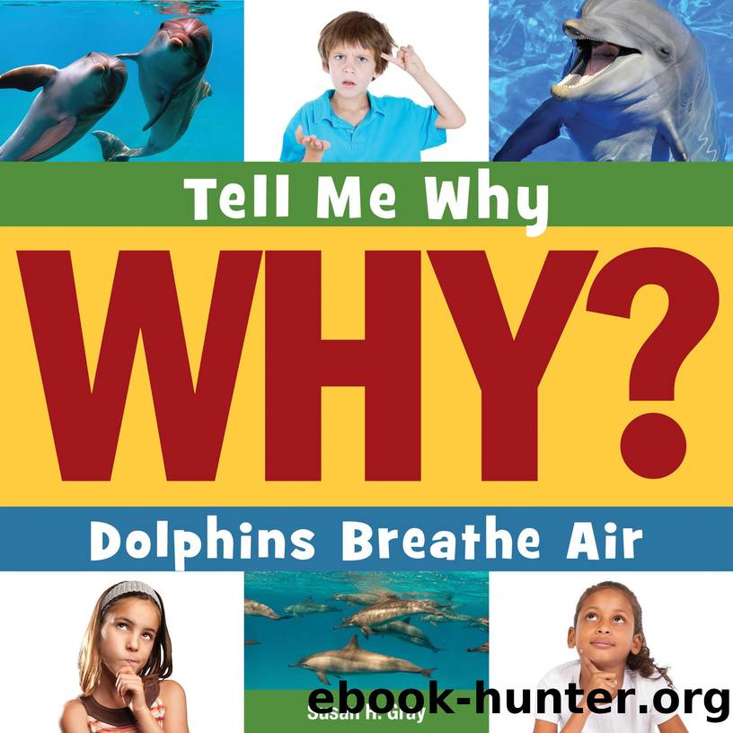 Tell Me Why? Dolphins Breathe Air by Susan H. Gray