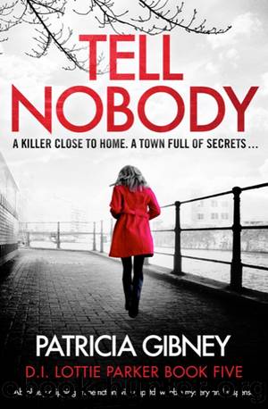 Tell Nobody by Patricia Gibney