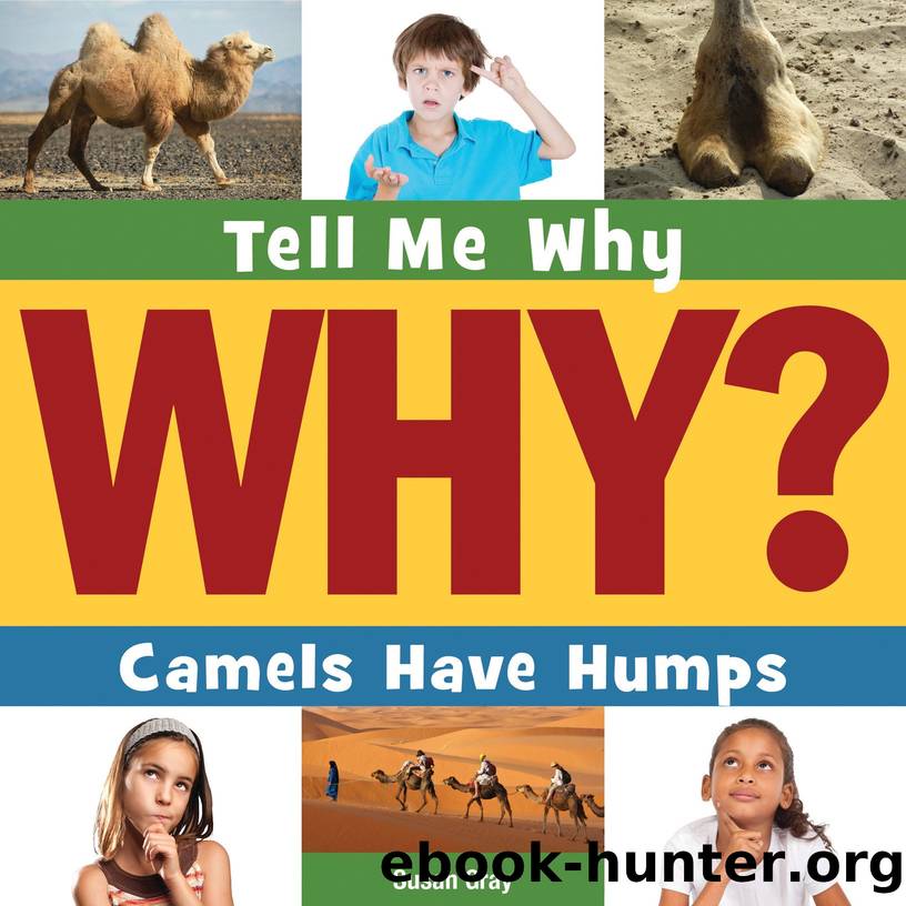 Tell me Why Camels Have Humps by Susan H. Gray